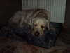 20110129215700.jpg