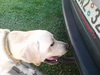 20110129215714.jpg