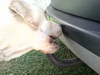 20110129215731.jpg