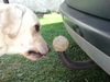 20110129215742.jpg