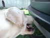 20110129215754.jpg