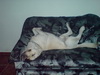 20110129215839.jpg